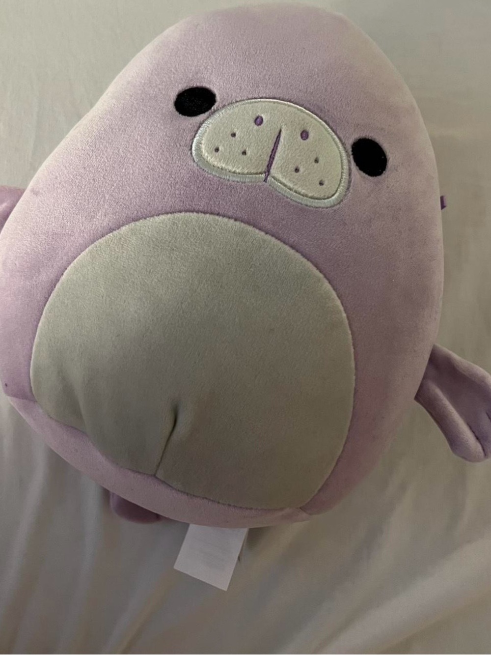 Squishmallows Lilac Seal Plush with Cream Belly